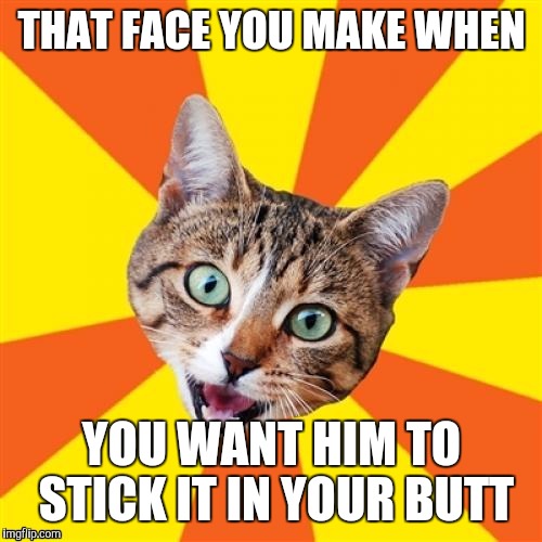 THAT FACE YOU MAKE WHEN YOU WANT HIM TO STICK IT IN YOUR BUTT | made w/ Imgflip meme maker