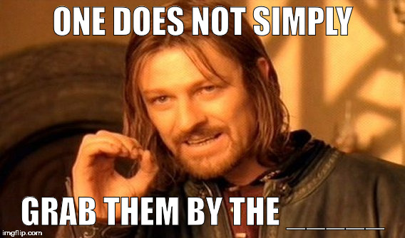 One Does Not Simply | ONE DOES NOT SIMPLY; GRAB THEM BY THE _____ | image tagged in memes,one does not simply | made w/ Imgflip meme maker