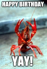 Birthday crawfish | HAPPY BIRTHDAY; YAY! | image tagged in birthday crawfish | made w/ Imgflip meme maker