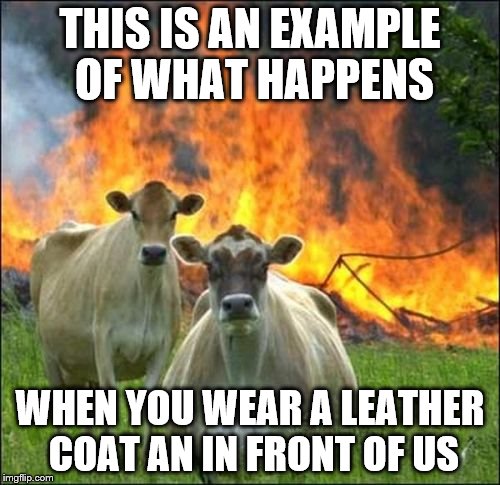 Evil Cows Meme | THIS IS AN EXAMPLE OF WHAT HAPPENS; WHEN YOU WEAR A LEATHER COAT AN IN FRONT OF US | image tagged in memes,evil cows | made w/ Imgflip meme maker