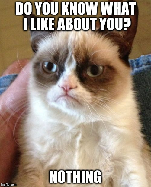 Grumpy Cat Meme | DO YOU KNOW WHAT I LIKE ABOUT YOU? NOTHING | image tagged in memes,grumpy cat | made w/ Imgflip meme maker