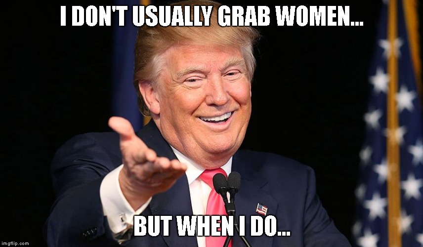 I DON'T USUALLY GRAB WOMEN... BUT WHEN I DO... | image tagged in dt | made w/ Imgflip meme maker