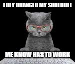 working cat | THEY CHANGED MY SCHEDULE; ME KNOW HAS TO WORK | image tagged in cat,mad,working | made w/ Imgflip meme maker