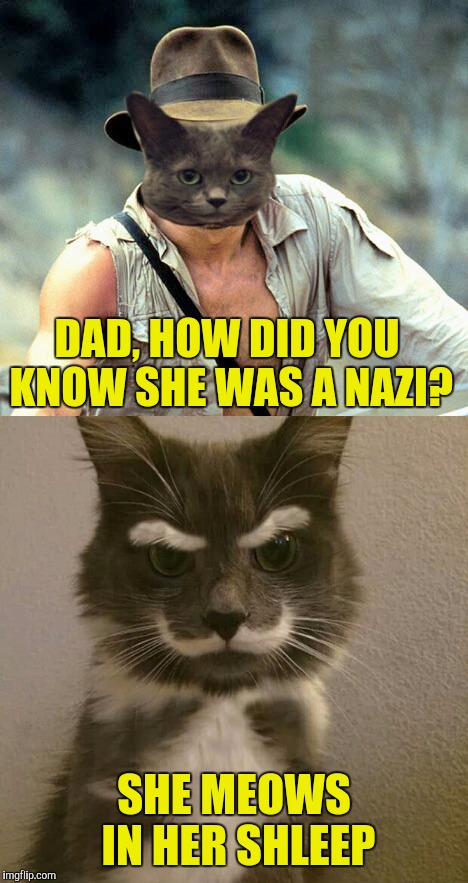Kitty-ana Jones | DAD, HOW DID YOU KNOW SHE WAS A NAZI? SHE MEOWS IN HER SHLEEP | image tagged in memes,indiana jones,cats,sean connery,harrison ford | made w/ Imgflip meme maker