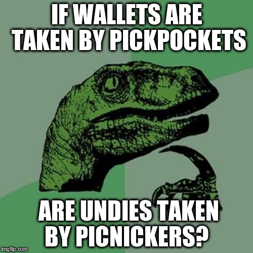 Philosoraptor Meme | IF WALLETS ARE TAKEN BY PICKPOCKETS; ARE UNDIES TAKEN BY PICNICKERS? | image tagged in memes,philosoraptor | made w/ Imgflip meme maker