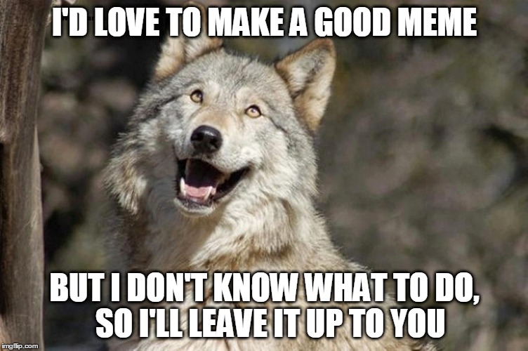 Optimistic Moon Moon Wolf Vanadium Wolf | I'D LOVE TO MAKE A GOOD MEME; BUT I DON'T KNOW WHAT TO DO,  SO I'LL LEAVE IT UP TO YOU | image tagged in optimistic moon moon wolf vanadium wolf | made w/ Imgflip meme maker