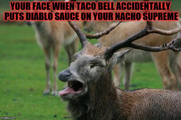Disgusted Deer | YOUR FACE WHEN TACO BELL ACCIDENTALLY PUTS DIABLO SAUCE ON YOUR NACHO SUPREME | image tagged in disgusted deer | made w/ Imgflip meme maker
