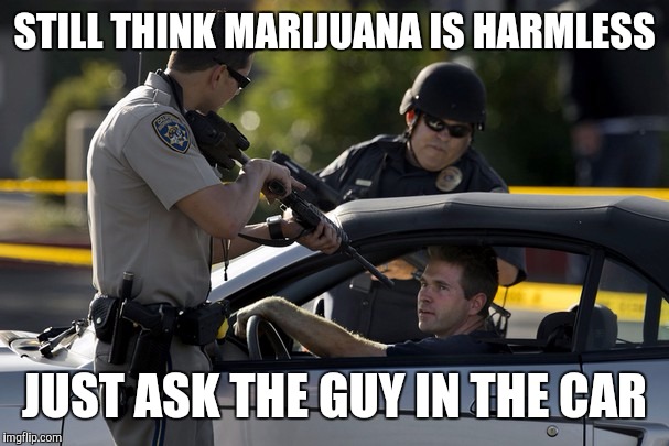 STILL THINK MARIJUANA IS HARMLESS; JUST ASK THE GUY IN THE CAR | image tagged in i too like to live dangerously | made w/ Imgflip meme maker