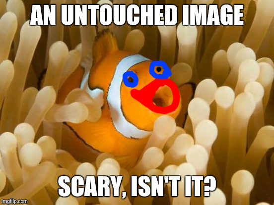 AN UNTOUCHED IMAGE SCARY, ISN'T IT? | made w/ Imgflip meme maker