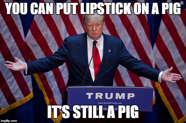 Donald Trump | YOU CAN PUT LIPSTICK ON A PIG; IT'S STILL A PIG | image tagged in donald trump | made w/ Imgflip meme maker