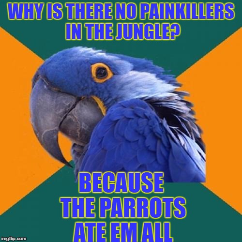 Paranoid Parrot | WHY IS THERE NO PAINKILLERS IN THE JUNGLE? BECAUSE THE PARROTS ATE EM ALL | image tagged in memes,paranoid parrot | made w/ Imgflip meme maker
