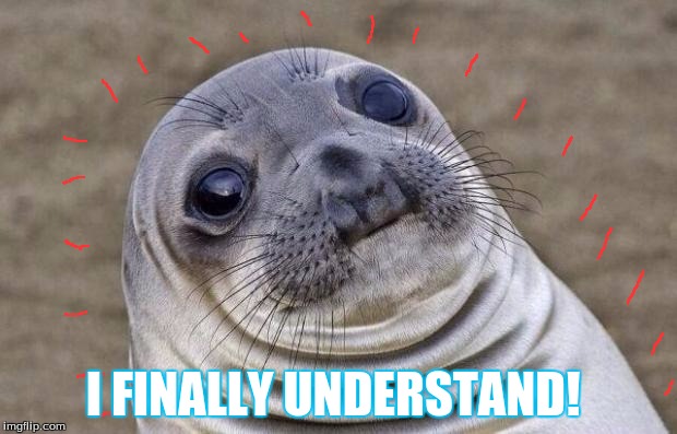 Awkward Moment Sealion Meme | I FINALLY UNDERSTAND! | image tagged in memes,awkward moment sealion | made w/ Imgflip meme maker