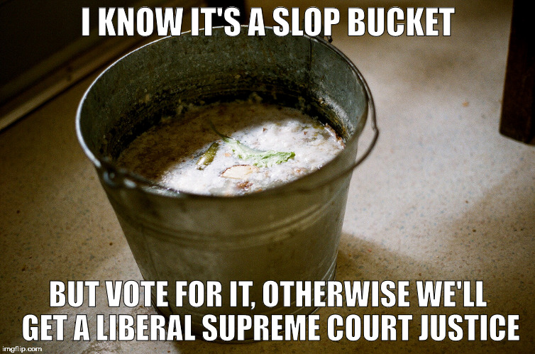 A Better Candidate | I KNOW IT'S A SLOP BUCKET; BUT VOTE FOR IT, OTHERWISE WE'LL GET A LIBERAL SUPREME COURT JUSTICE | image tagged in trump hillary,slop,bucket,liberal,supreme court,republican | made w/ Imgflip meme maker