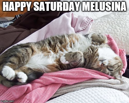 HAPPY SATURDAY MELUSINA | made w/ Imgflip meme maker