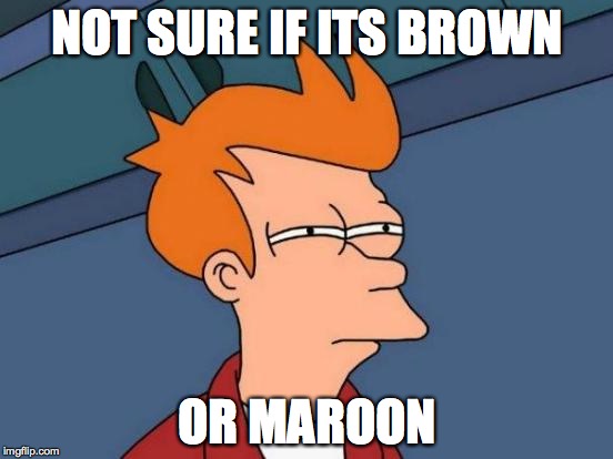 Futurama Fry | NOT SURE IF ITS BROWN; OR MAROON | image tagged in memes,futurama fry | made w/ Imgflip meme maker