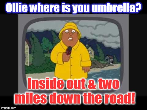 Meanwhile in Charleston, SC | Ollie where is you umbrella? Inside out & two miles down the road! | image tagged in ollie | made w/ Imgflip meme maker