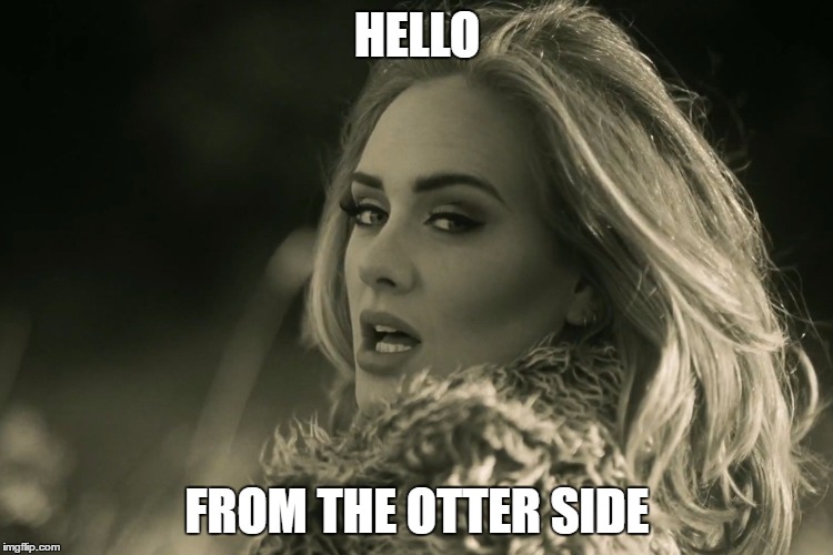 adele hellow | HELLO; FROM THE OTTER SIDE | image tagged in adele hellow | made w/ Imgflip meme maker