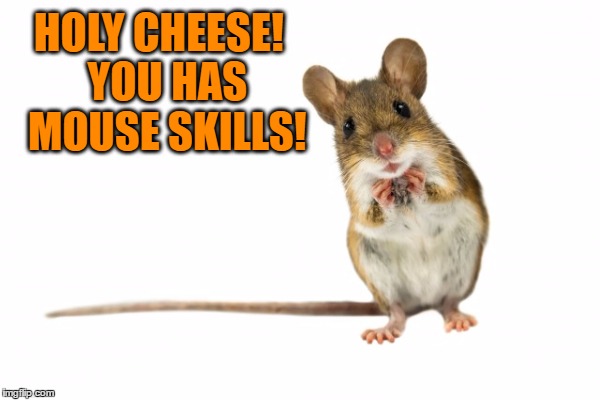 HOLY CHEESE!
 YOU HAS MOUSE SKILLS! | made w/ Imgflip meme maker