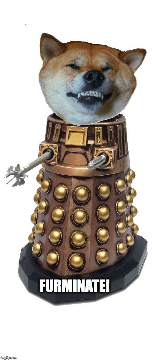 Dalek Inu | FURMINATE! | image tagged in dalek,doge,shiba inu,doctor who | made w/ Imgflip meme maker