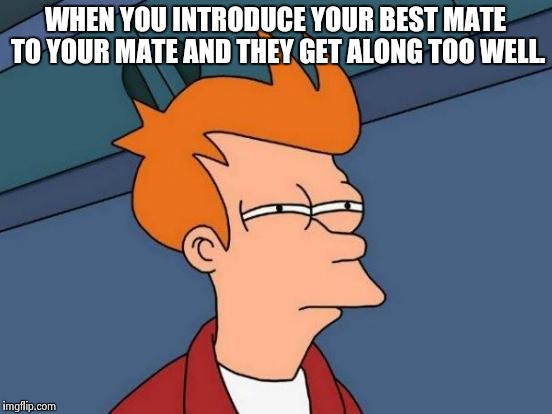 Futurama Fry Meme | WHEN YOU INTRODUCE YOUR BEST MATE TO YOUR MATE AND THEY GET ALONG TOO WELL. | image tagged in memes,futurama fry | made w/ Imgflip meme maker