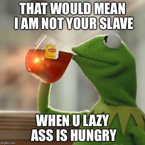 But That's None Of My Business Meme | THAT WOULD MEAN I AM NOT YOUR SLAVE WHEN U LAZY ASS IS HUNGRY | image tagged in memes,but thats none of my business,kermit the frog | made w/ Imgflip meme maker