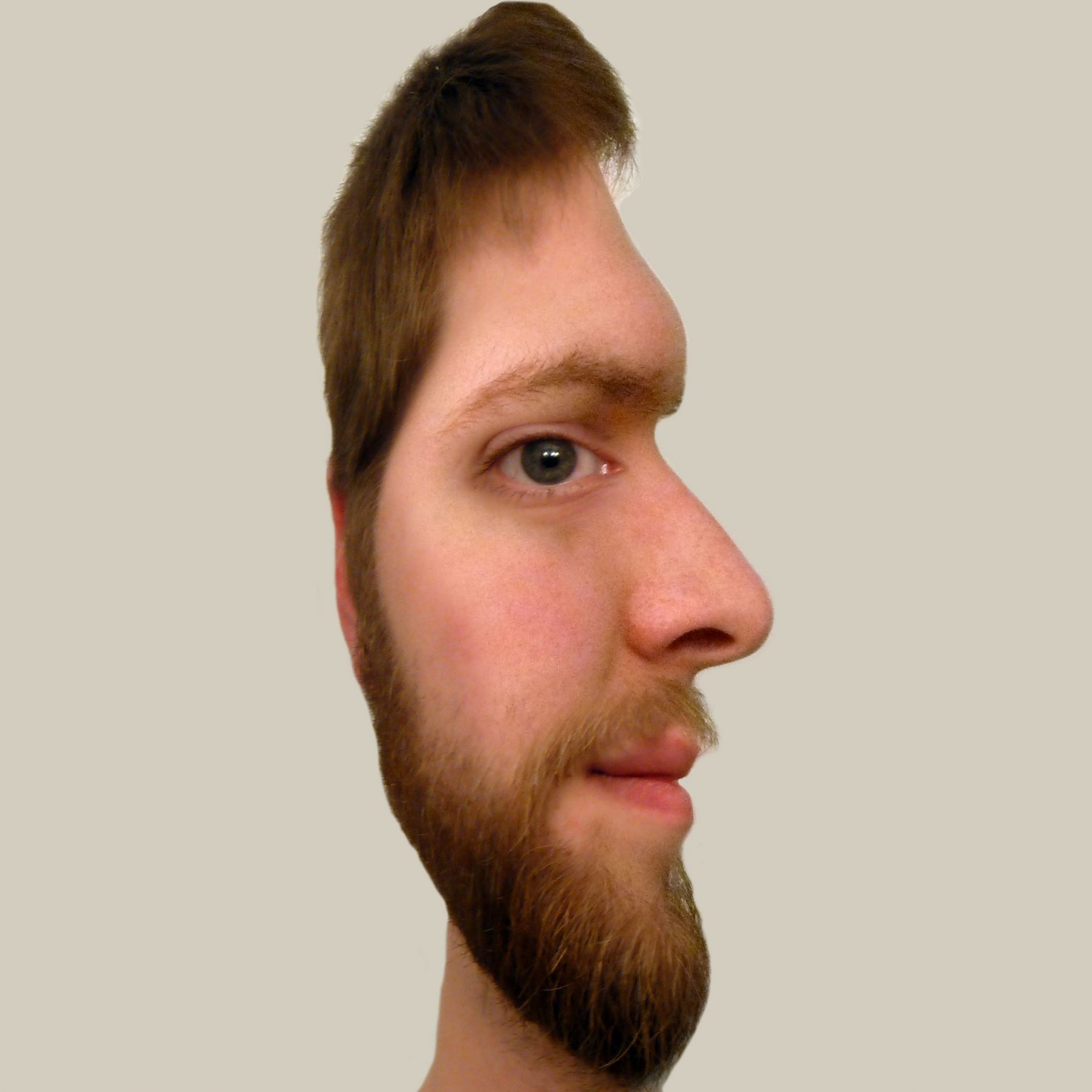 Two faced man Blank Meme Template