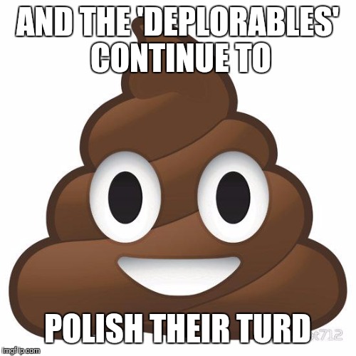 poop | AND THE 'DEPLORABLES' CONTINUE TO; POLISH THEIR TURD | image tagged in poop | made w/ Imgflip meme maker