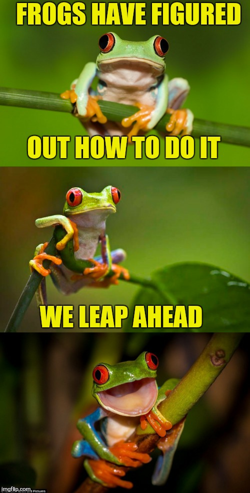 Frog Puns | FROGS HAVE FIGURED OUT HOW TO DO IT WE LEAP AHEAD | image tagged in frog puns | made w/ Imgflip meme maker