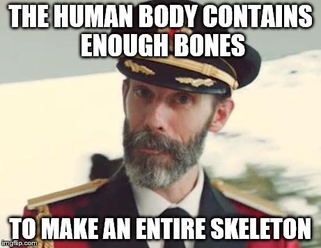 Captain Obvious is Obvious | THE HUMAN BODY CONTAINS ENOUGH BONES; TO MAKE AN ENTIRE SKELETON | image tagged in captain obvious,memes | made w/ Imgflip meme maker