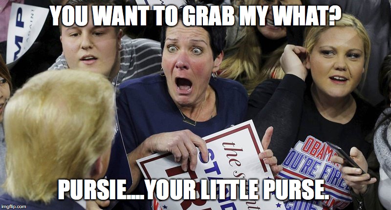 Trump Shocker | YOU WANT TO GRAB MY WHAT? PURSIE....YOUR LITTLE PURSE. | image tagged in trump shocker | made w/ Imgflip meme maker