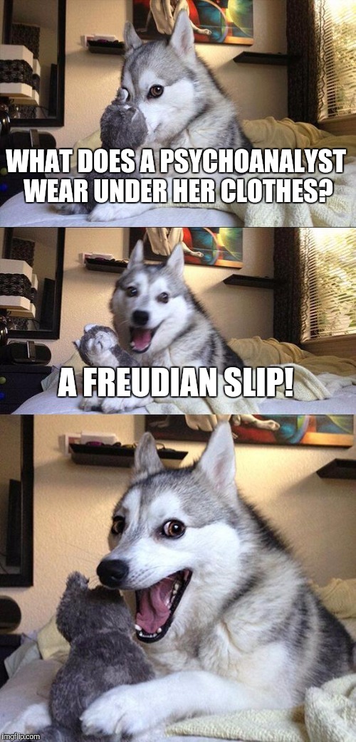 Bad Pun Dog |  WHAT DOES A PSYCHOANALYST WEAR UNDER HER CLOTHES? A FREUDIAN SLIP! | image tagged in memes,bad pun dog | made w/ Imgflip meme maker