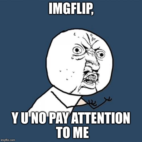 Y U No Meme | IMGFLIP, Y U NO PAY ATTENTION TO ME | image tagged in memes,y u no | made w/ Imgflip meme maker