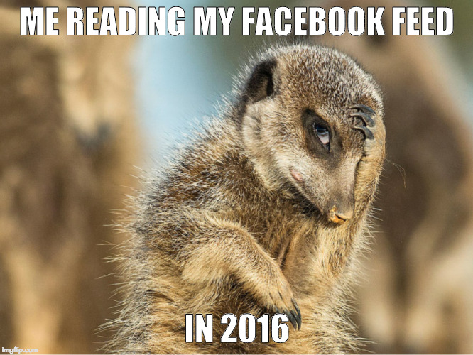 ME READING MY FACEBOOK FEED; IN 2016 | image tagged in facebook,2016,election 2016,trump,clinton,johnson | made w/ Imgflip meme maker