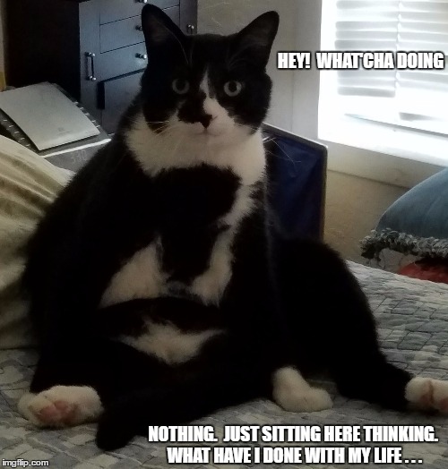 Just sitting here thinking. | HEY!  WHAT'CHA DOING; NOTHING.  JUST SITTING HERE THINKING.  WHAT HAVE I DONE WITH MY LIFE . . . | image tagged in inky,thinking,sitting,life | made w/ Imgflip meme maker