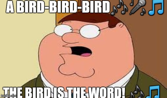 A BIRD-BIRD-BIRD | made w/ Imgflip meme maker