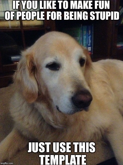 Overly critical dog | IF YOU LIKE TO MAKE FUN OF PEOPLE FOR BEING STUPID; JUST USE THIS TEMPLATE | image tagged in overly critical dog | made w/ Imgflip meme maker