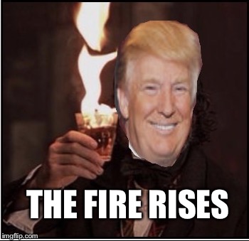 Best F-ing Election Year Ever | THE FIRE RISES | image tagged in trump cheers,trump | made w/ Imgflip meme maker