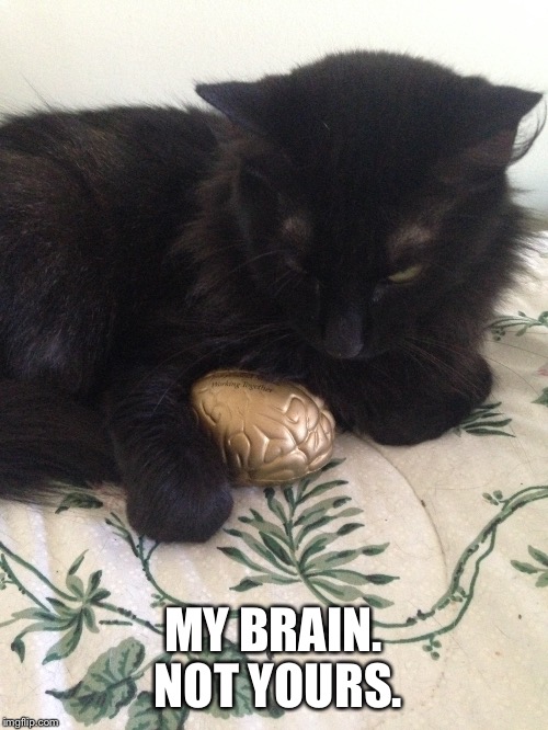 MY BRAIN. NOT YOURS. | image tagged in brain,cat | made w/ Imgflip meme maker