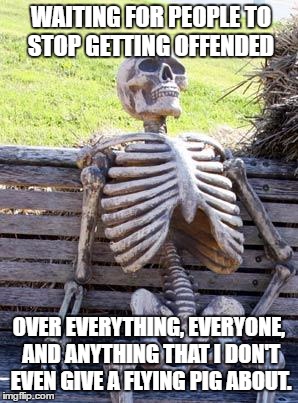 Waiting Skeleton | WAITING FOR PEOPLE TO STOP GETTING OFFENDED; OVER EVERYTHING, EVERYONE, AND ANYTHING THAT I DON'T EVEN GIVE A FLYING PIG ABOUT. | image tagged in memes,waiting skeleton | made w/ Imgflip meme maker