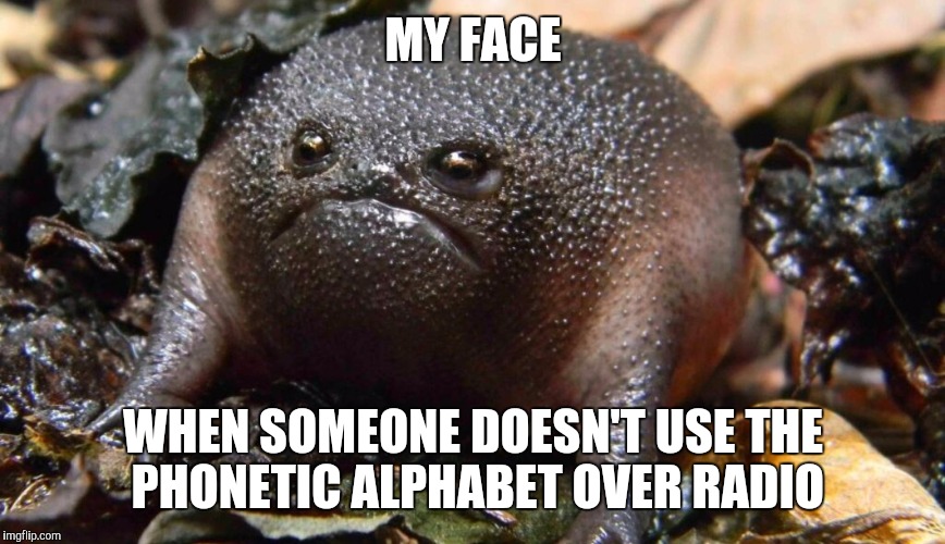 MY FACE; WHEN SOMEONE DOESN'T USE THE PHONETIC ALPHABET OVER RADIO | image tagged in radio talk | made w/ Imgflip meme maker