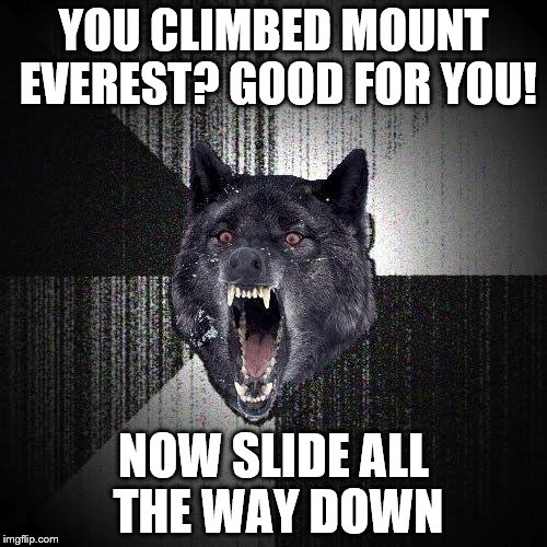 Insanity Wolf | YOU CLIMBED MOUNT EVEREST? GOOD FOR YOU! NOW SLIDE ALL THE WAY DOWN | image tagged in memes,insanity wolf | made w/ Imgflip meme maker