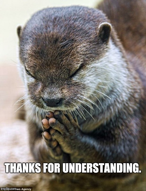 When my friends give me a chip because I forgot my lunch. | THANKS FOR UNDERSTANDING. | image tagged in thank you lord otter | made w/ Imgflip meme maker