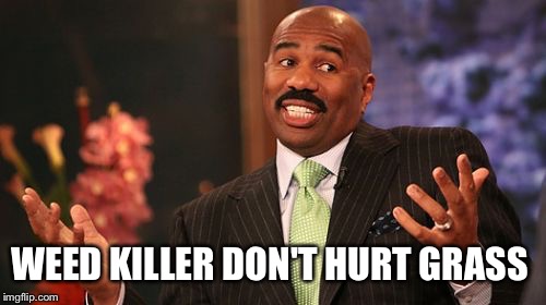 WEED KILLER DON'T HURT GRASS | image tagged in memes,steve harvey | made w/ Imgflip meme maker