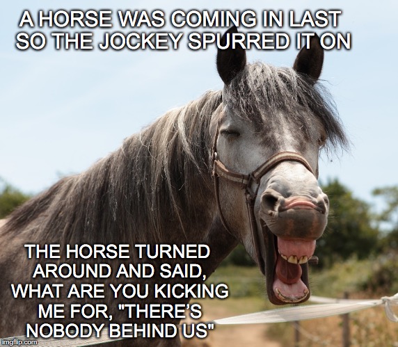 Horse Smile | A HORSE WAS COMING IN LAST SO THE JOCKEY SPURRED IT ON; THE HORSE TURNED AROUND AND SAID, WHAT ARE YOU KICKING ME FOR, "THERE’S NOBODY BEHIND US" | image tagged in horse smile | made w/ Imgflip meme maker