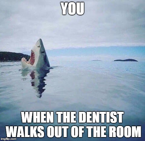 shark_head_out_of_water | YOU; WHEN THE DENTIST WALKS OUT OF THE ROOM | image tagged in shark_head_out_of_water | made w/ Imgflip meme maker