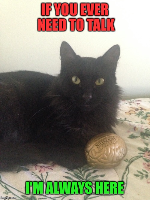 If you need help | IF YOU EVER NEED TO TALK; I'M ALWAYS HERE | image tagged in cat,therapist | made w/ Imgflip meme maker