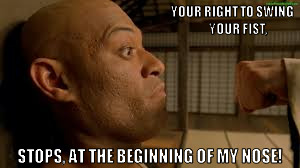   | YOUR RIGHT TO SWING
     YOUR FIST, STOPS, AT THE BEGINNING OF MY NOSE! | image tagged in matrix morpheus | made w/ Imgflip meme maker