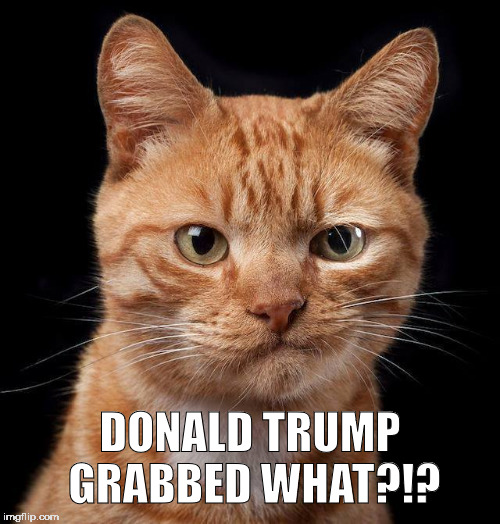 Donald Trump Grabbed What?!? | DONALD TRUMP GRABBED WHAT?!? | image tagged in donald trump,pussy,grabbed,trump,trump 2016 | made w/ Imgflip meme maker
