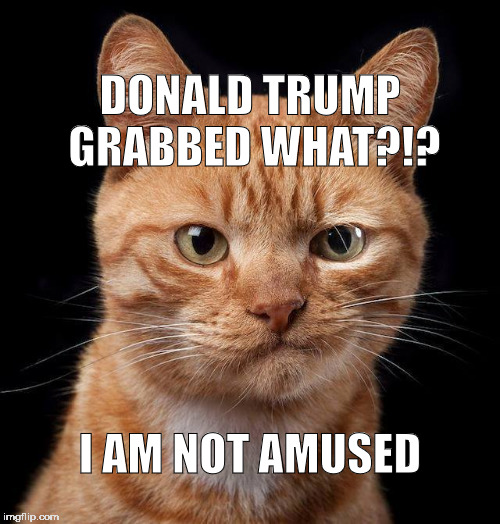 Donald Trump Grabbed What?!? I Am Not Amused  | DONALD TRUMP GRABBED WHAT?!? I AM NOT AMUSED | image tagged in donald trump,grabbed,trump,not amused,amused | made w/ Imgflip meme maker