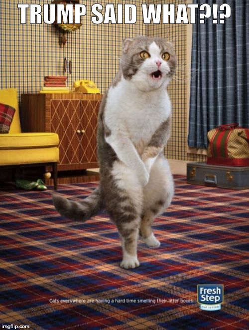 Gotta Go Cat | TRUMP SAID WHAT?!? | image tagged in memes,gotta go cat | made w/ Imgflip meme maker